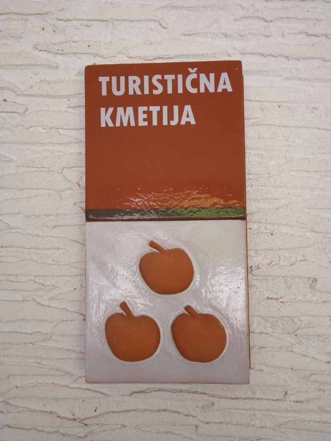 Turisticna Kmetija Birsa Βίλα Dobravlje Εξωτερικό φωτογραφία